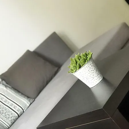 Apartman V Centru Ceskych Budejovic チェスケー・ブジェヨヴィツェ