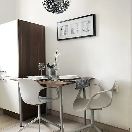 Apartman V Centru Ceskych Budejovic アパート